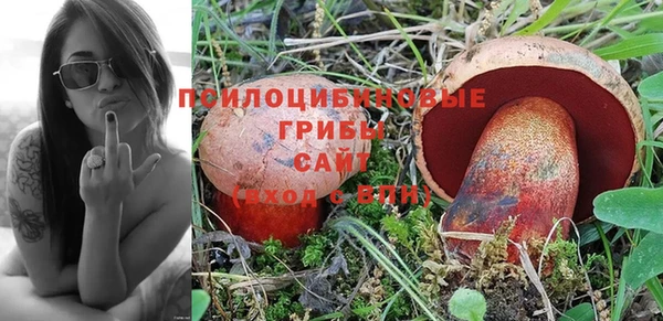 Альфа ПВП Балабаново