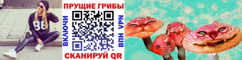 Галлюциногенные грибы Magic Shrooms  Светлогорск 